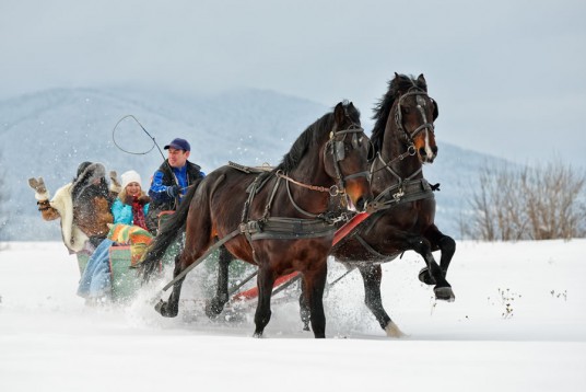 Pferdeschlittenfahrt in Flachau