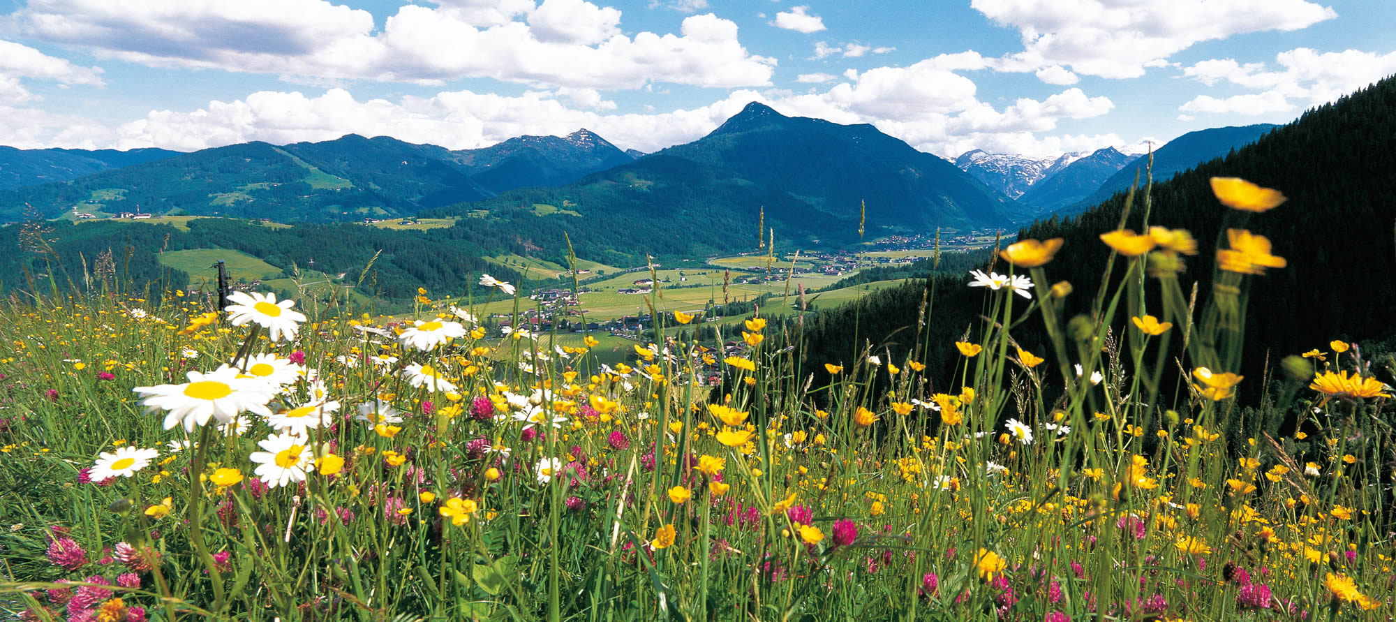 Geräumige Ferienwohnungen in der Villa Schrempf in Flachau